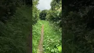 Gail Shelters from the Gale 🤣 | South West Coast Path