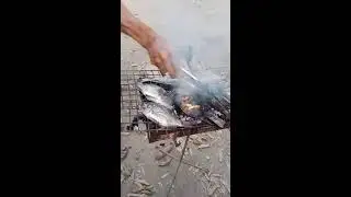 Grilled Fish #live #livestream #video #grilledfish  #telapia for #lunch #asmr #satisfying #food