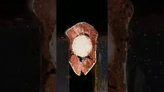 Satisfying Pressure On Pencil Reverse| Reversed Clip From: @The_Object