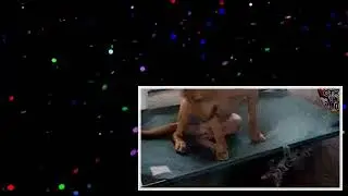 Lustige Katzenvideos Immer wieder erheiternd