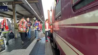 Pinguins-Sonderzüge nach Köln: Das haben die Fans der Fischtown Pinguins dabei!