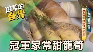 【基隆必吃】手臂長冠軍甜龍筍 產地現挖 體驗竹林採竹筍 第586集 part4｜陳怡廷 (冠軍家常甜龍筍)《進擊的台灣》@FoodinTaiwan
