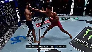 Three Knockdowns And KO by Marwan Rahiki - Another DWCS Masterclass