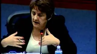 NIAC 2011 | Panel Discussion: Enforcement in Non-International Armed Conflict