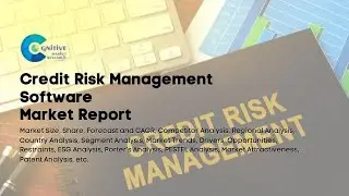 Credit Risk Management Software Market Report 2024 | Forecast, Market Size & Growth