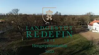 Estobar NRW v. Ehrentusch - Ferragamo, Westfale, Hengst * 2004