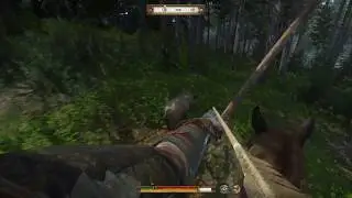I'm so sorry horse :(