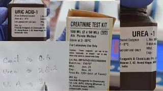 Procedure of KFT with standards, KFT , KIDNEY FUNCTION TEST, Creatinine, Urea, Uric Acid#bloodtest 