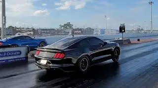 Stangmode 2018 5.0 vs Palm Beach Dyno Shelby GT500 / FBO Shelby vs VMP Odin 5.0