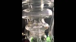 Hamm Maria disc tube
