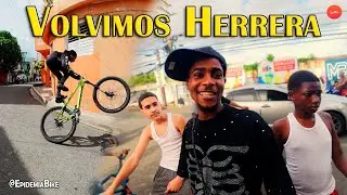 ASÍ LLEGAMOS / HERRERA 
