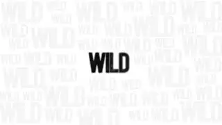 Down Not Out - Wild Lyric Video