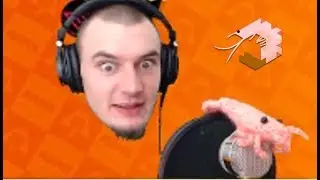 Top 10 Schkrimps Moments - ARMS