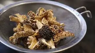 From the Garden, Woods and Farm to the Table