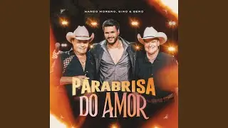 Parabrisa Do Amor