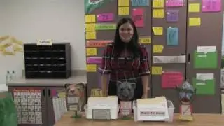 Optimal Learning Environment (www.360-EDU.com)