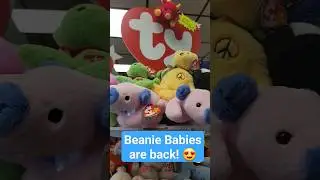 What Do You Think of the New Beanie Babies!? #beanie #ty