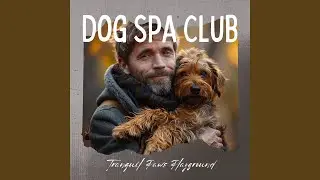 Pet Care Therapy