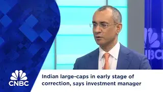 Indian large-caps in early stage of correction, says investment manager