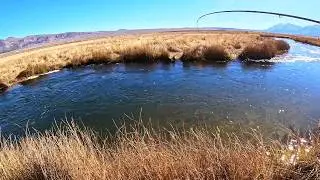 Рыбалка нахлыстом на реке Оуэнс (Часть 2): Верхняя часть реки Оуэнс
