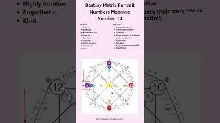 Destiny Matrix Portrait Numbers Meaning - 14