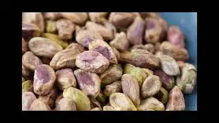 5 nuts Important for Human brain