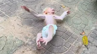 PorPor First Time Learn To Drive Car Until FallFrom The Car Tire