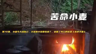 第70集，小麥今天給自己、大寶和小寶都洗澡了，還做了可口的飯菜《苦命小麥》