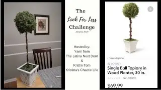 LOOK FOR LESS CHALLENGE JAN 2019 - YAMI & KRISTIN | FARM HOUSE | KIRKLAND'S TOPIARY | RUSTIC | DIY