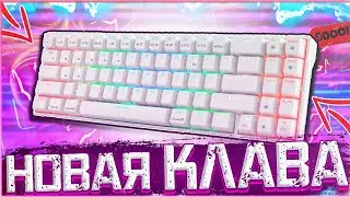 КУПИЛ НОВУЮ МЕХАНИЧЕСКУЮ КЛАВИАТУРУ! ОБЗОР rk71 + KEYBOARD CAM