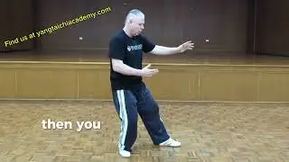 Mastering Tai Chi Strum the Lute 