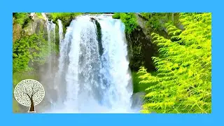 FALL INTO DEEP RELAXATION | Relaxing Piano Music with Water Sounds 🎹 Relaxing Music