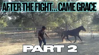 Integrity in the Round Pen | What God&rsquo;s Grace Taught Me About Leadership