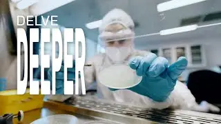 From the lab to the field | Study BSc Biological Sciences at Hartpury University