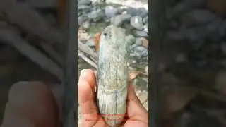 Jade hunting #jadeite #jadeitejade #jade #batu #batugiok #batupermata #shorts