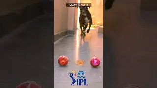 SRH VS RR MATCH PREDICTION | IPL 2025 | MATCH NO.2 | #ipl2025 #srh #rr #predictions #shortvideo