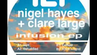 Nigel Hayes and Clare Large - 3am - Infusion EP - Intelligent Audio