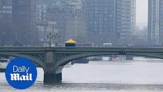 Portuguese man describes horror of Westminster car attack - Daily Mail
