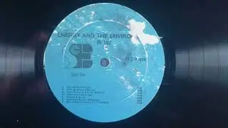 Energy and the Environment: Energy Alternatives (1980)