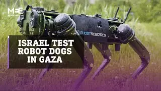 Israel testing robot dogs in Gaza