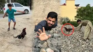 New murga bhaag gya 😰😡