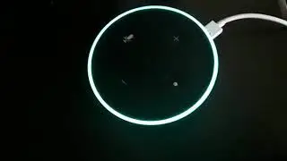 Alexa startup