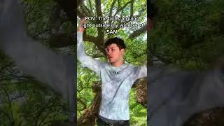 Do you have talkative af birds outside your house? #birdwatching #shorts #birdshorts