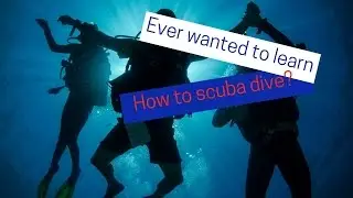 Learn to Dive with Divers Den in Cairns