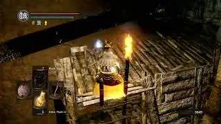 Dark Souls Item and Enemy Randomizer Cooperative with Joe Vod 4