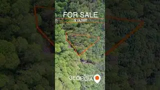 This 1 Acre Mountain Property is a MUST SEE | Ellijay Georgia