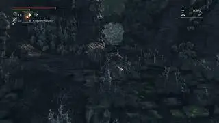 Bloodborne Digao