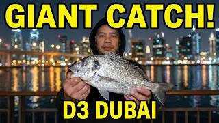 1 HOUR Unedited Winter Fishing At D3 Business Bay Dubai