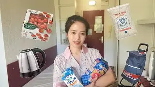 MỘT TUẦN ĐI SIÊU THỊ Ở PHÁP 🇫🇷 | MUA XE ĐẨY ĐI CHỢ, THỰC PHẨM