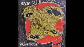 SNB ZAUVEK (official audio)